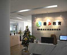 上海磨石教育 深耕本土，以专业信息咨询服务赋能成长